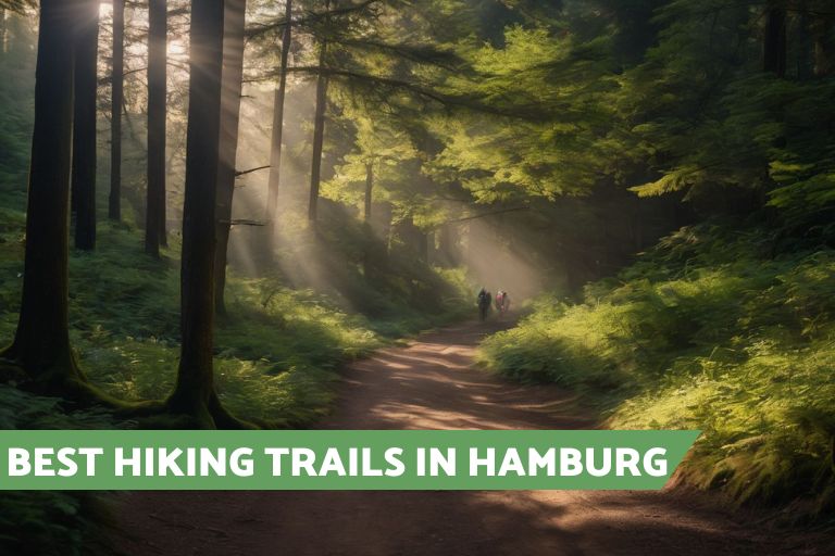 Hiking In Hamburg 12 Best Trails Nearby August 2024 